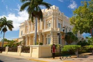 Tour histórico y cultural en Mérida, Yucatán, México