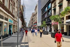 Centro histórico y pirámides de Teotihuacán Degustación de mezcal