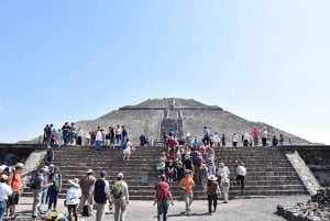 Centro histórico y pirámides de Teotihuacán Degustación de mezcal