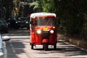 Historic Tour by Tuktuk – Roma Condesa