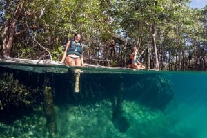 Holbox: Yalahau, Isla de la Pasión y Punta Mosquito tour en barco