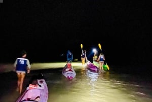 Holbox: Bioluminescence in Kayak