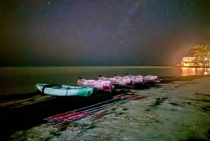 Holbox: Bioluminescence in Kayak