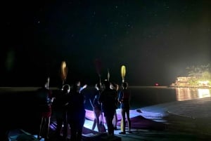 Holbox: Bioluminescence in Kayak