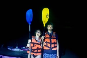 Holbox: Bioluminescence in Kayak