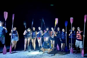 Holbox: Bioluminescence in Kayak