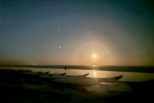 Holbox: Bioluminescence in Kayak