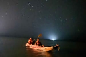 Holbox: Bioluminescence in Kayak