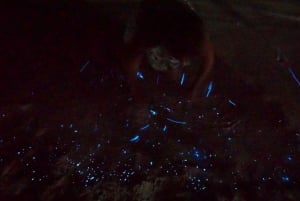 Holbox: Bioluminescence in Kayak