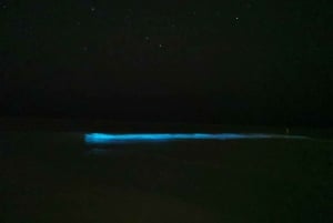 Holbox: Bioluminescence in Kayak