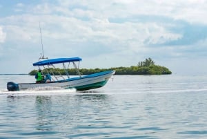 Holbox Discovery: Vive la Auténtica Esencia, Aventura, Sabor y Relax