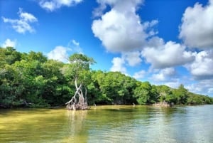 Holbox Discovery: Vive la Auténtica Esencia, Aventura, Sabor y Relax