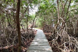 Holbox Discovery: Vive la Auténtica Esencia, Aventura, Sabor y Relax