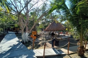 Holbox Discovery: Vive la Auténtica Esencia, Aventura, Sabor y Relax