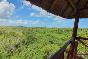 Holbox Discovery: Vive la Auténtica Esencia, Aventura, Sabor y Relax