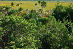 Holbox Discovery: Vive la Auténtica Esencia, Aventura, Sabor y Relax