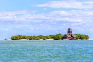 Holbox Discovery: Vive la Auténtica Esencia, Aventura, Sabor y Relax