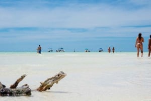 Lo Mejor de Holbox