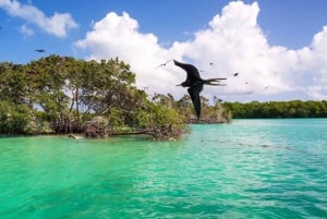 Lo Mejor de Holbox