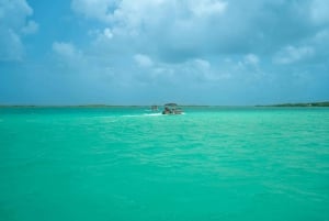 Lo Mejor de Holbox