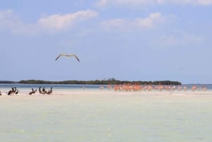 Lo Mejor de Holbox