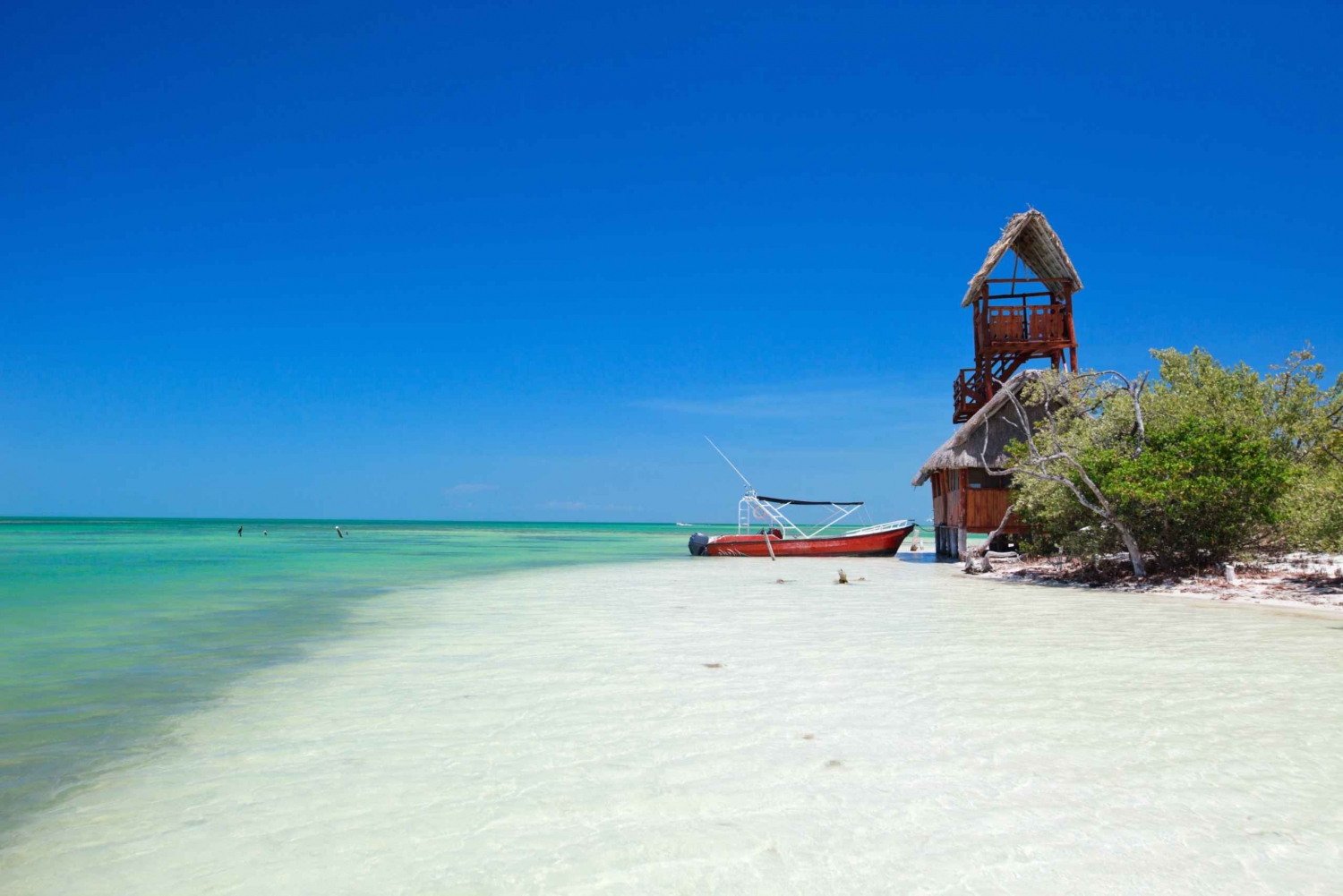 From Riviera Maya: Holbox Full-Day Tour with Lunch