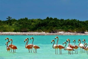 Holbox: Full-Day Tour with Lunch