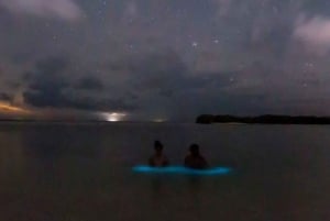 Holbox - Guided Bioluminescence Tour with pick up