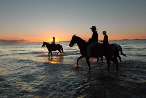 Holbox: Guided Horseback Ride on the Beach