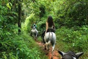 Holbox: Guided Horseback Ride on the Beach