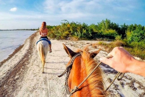 Holbox: Paseo guiado a caballo por la playa