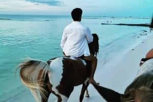 Holbox: Paseo guiado a caballo por la playa