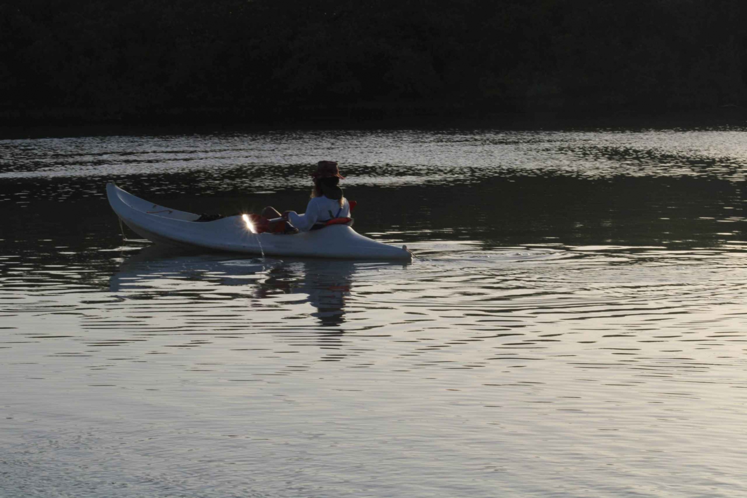 Holbox: Guided Sunrise Kayak Tour through Mangrove Reserve