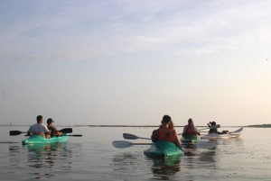 Holbox: Guided Sunrise Kayak Tour through Mangrove Reserve