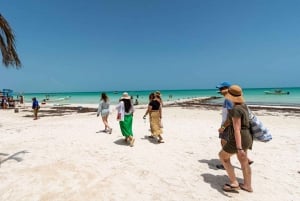 Holbox: Guided visit to the island, cenote swim and lunch