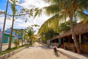 Holbox: Guided visit to the island, cenote swim and lunch