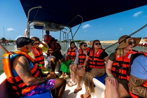 Holbox: Visita guiada a la isla, baño en el cenote y comida