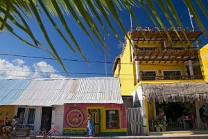Holbox Island Discovery Tour with Transfer