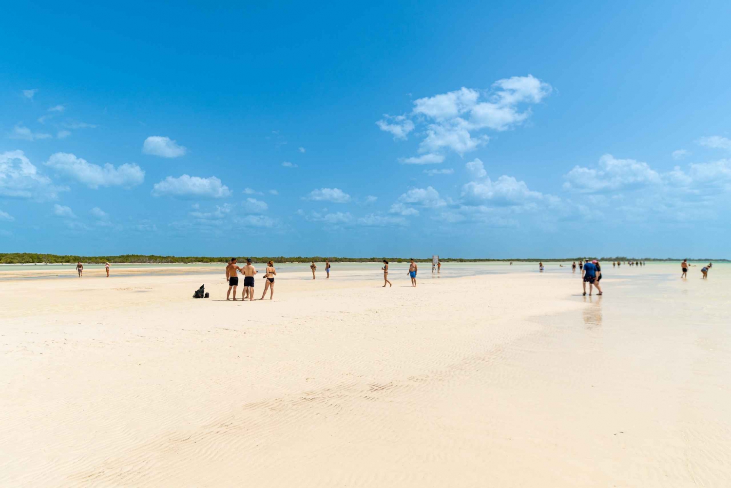 Holbox Island: Full Day Trip with Lunch and Pick-up Options