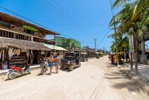 Holbox Island: Full Day Trip with Lunch and Pick-up Options