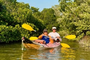 Holbox: Excursión en kayak al atardecer en los manglares