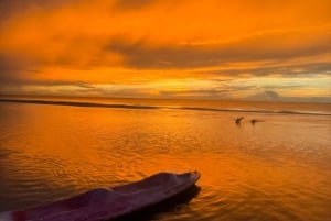 Holbox: Excursión en kayak al atardecer en los manglares