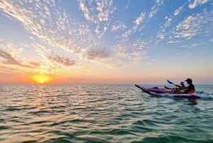 Holbox: Excursión en kayak al atardecer en los manglares