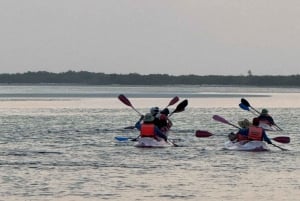 Holbox: Excursión en kayak al atardecer en los manglares