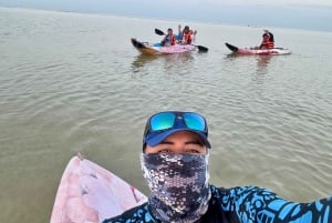 Holbox: Excursión en kayak al atardecer en los manglares