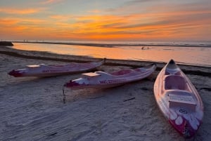 Holbox: Excursión en kayak al atardecer en los manglares