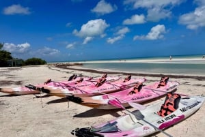 Holbox: Excursión en kayak al atardecer en los manglares