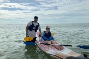 Holbox: Excursión en kayak al atardecer en los manglares