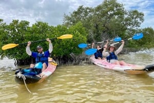 Holbox: Excursión en kayak al atardecer en los manglares