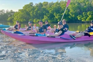 Holbox: Excursión en kayak al atardecer en los manglares